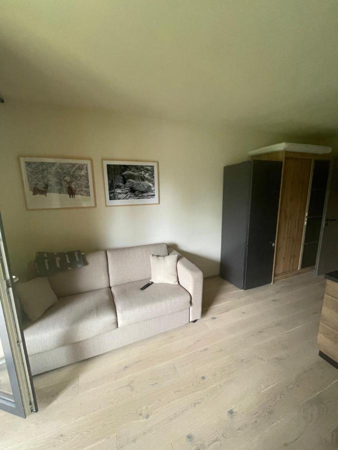 Апартаменты Apartman Pod Jasanem Hojsova Straz Brcalnik Железна-Руда Экстерьер фото