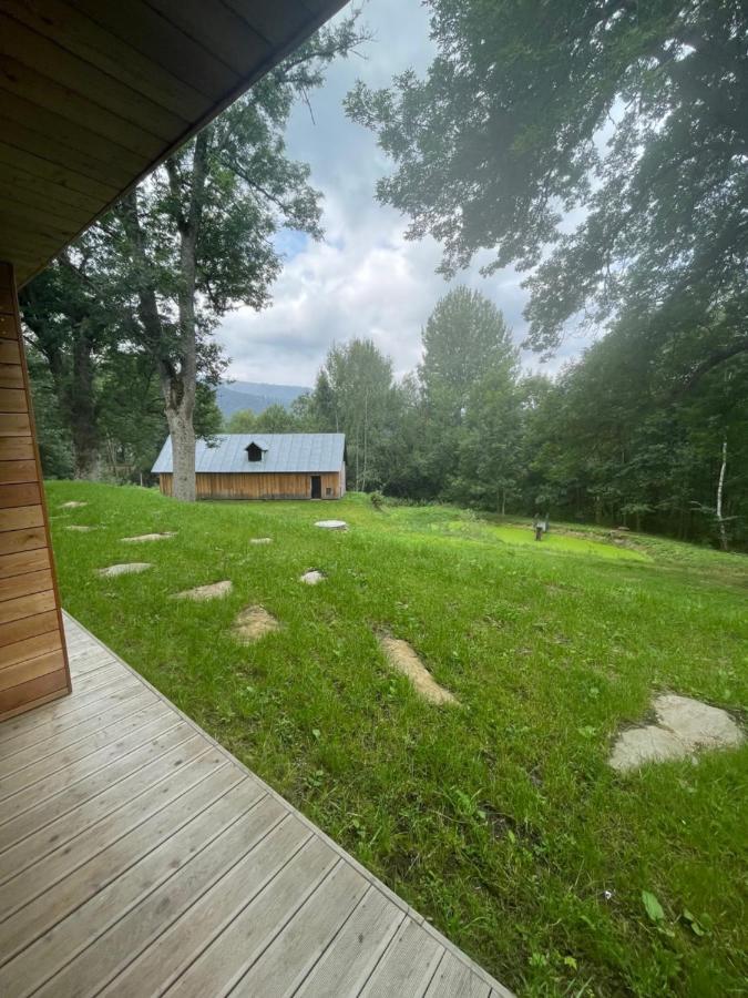 Апартаменты Apartman Pod Jasanem Hojsova Straz Brcalnik Железна-Руда Экстерьер фото