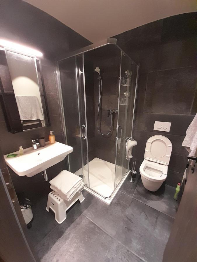 Апартаменты Apartman Pod Jasanem Hojsova Straz Brcalnik Железна-Руда Экстерьер фото