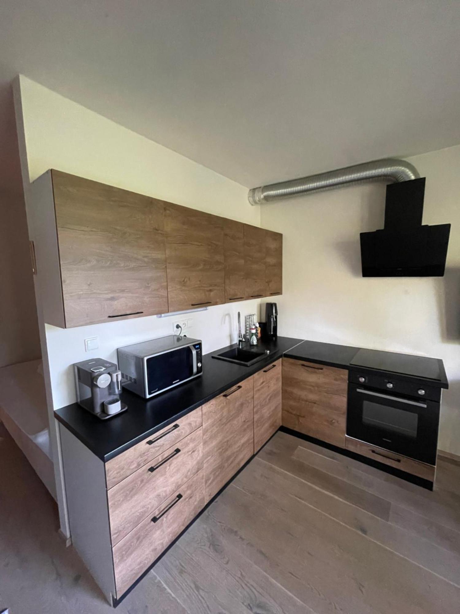 Апартаменты Apartman Pod Jasanem Hojsova Straz Brcalnik Железна-Руда Экстерьер фото
